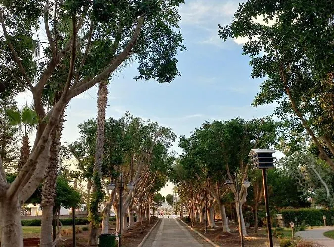 アパート Bodrum-turgutreis Merkezde Plaja 50 Metre Uzaklikta 1 Ve 2 Numarali Daireler