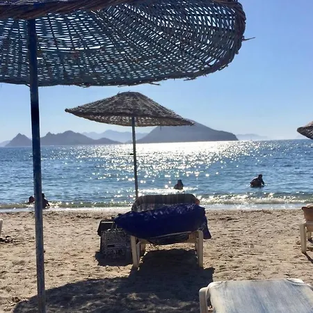 Apartman Bodrum-turgutreis Merkezde Plaja 50 Metre Uzaklikta 1 Ve 2 Numarali Daireler