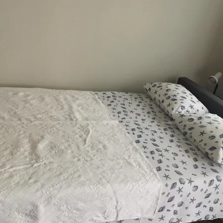 Bodrum-turgutreis Merkezde Plaja 50 Metre Uzaklikta 1 Ve 2 Numarali Daireler Apartman
