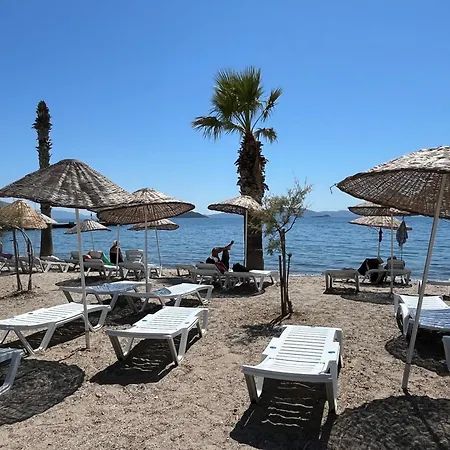 Bodrum-turgutreis Merkezde Plaja 50 Metre Uzaklikta 1 Ve 2 Numarali Daireler Apartman