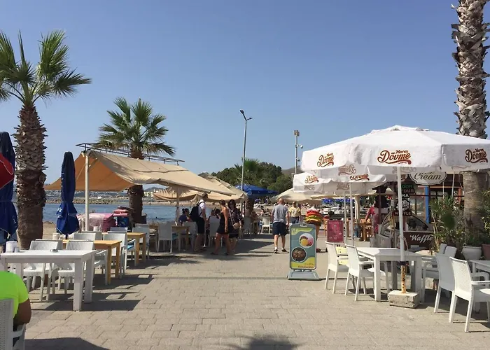 Bodrum-turgutreis Merkezde Plaja 50 Metre Uzaklikta 1 Ve 2 Numarali Daireler *