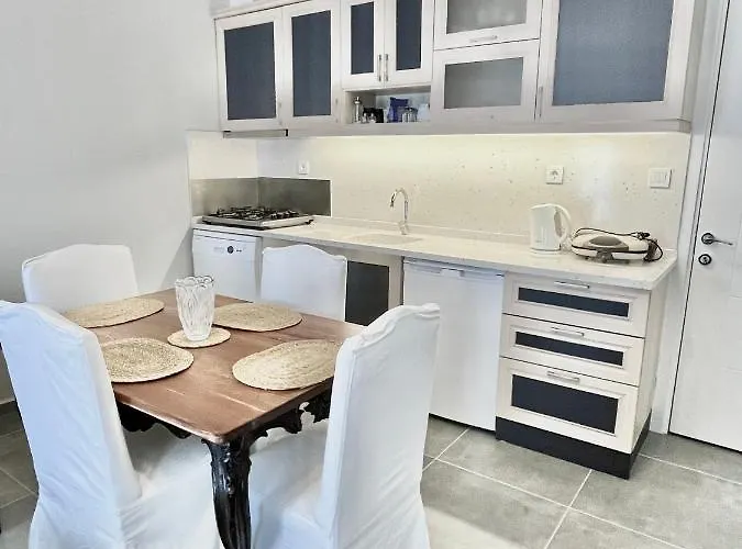 Bodrum-turgutreis Merkezde Plaja 50 Metre Uzaklikta 1 Ve 2 Numarali Daireler 아파트 Bodrum