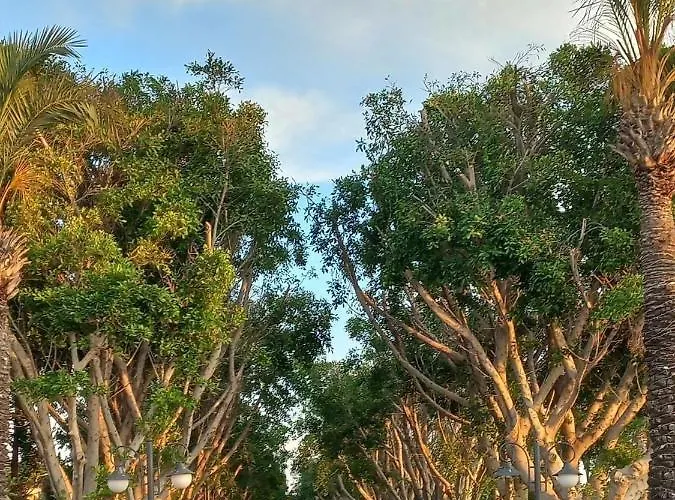 Bodrum-turgutreis Merkezde Plaja 50 Metre Uzaklikta 1 Ve 2 Numarali Daireler Apartmán