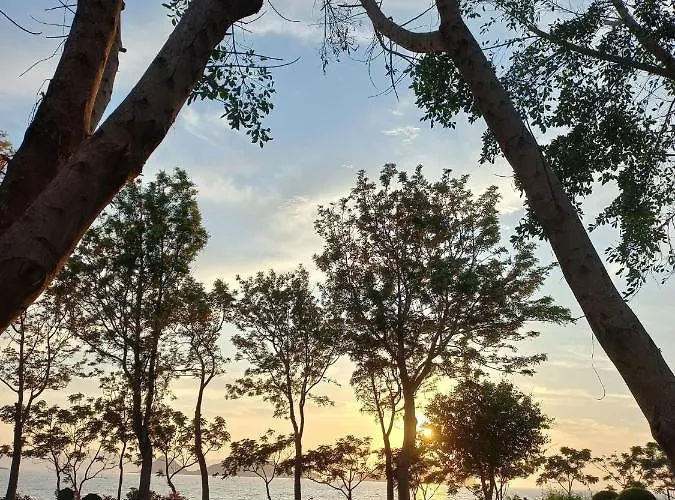 Bodrum-turgutreis Merkezde Plaja 50 Metre Uzaklikta 1 Ve 2 Numarali Daireler