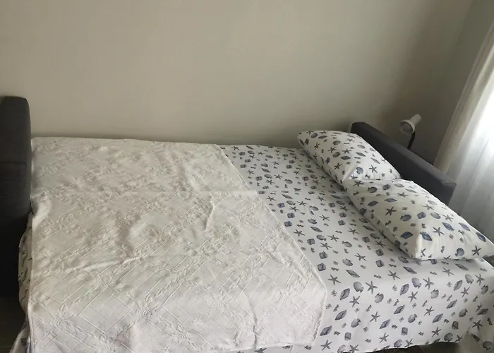 Bodrum-turgutreis Merkezde Plaja 50 Metre Uzaklikta 1 Ve 2 Numarali Daireler Apartmán