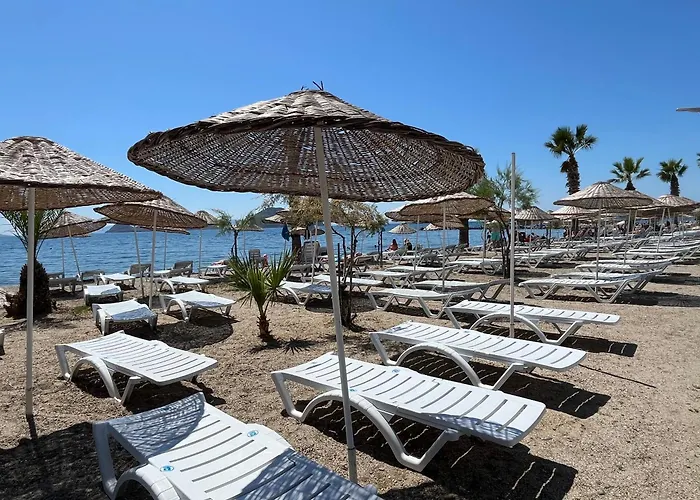 Bodrum-turgutreis Merkezde Plaja 50 Metre Uzaklikta 1 Ve 2 Numarali Daireler Bodrum