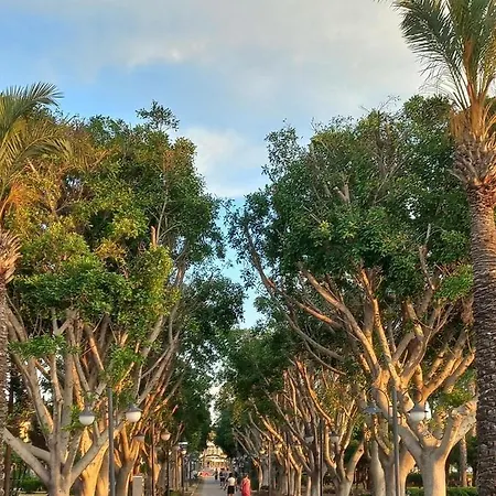 Bodrum-turgutreis Merkezde Plaja 50 Metre Uzaklikta 1 Ve 2 Numarali Daireler Appartement