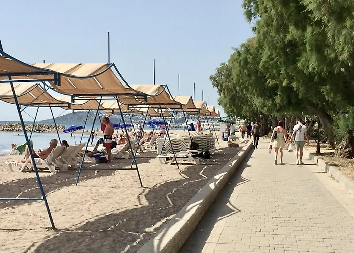 Bodrum-turgutreis Merkezde Plaja 50 Metre Uzaklikta 1 Ve 2 Numarali Daireler شقة