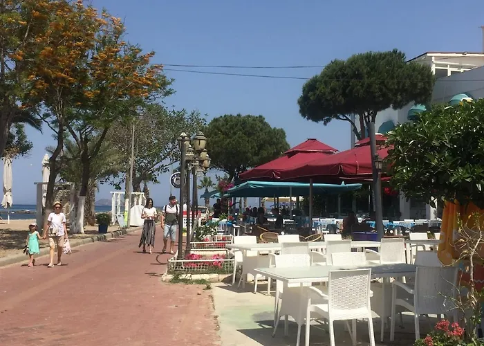Bodrum-turgutreis Merkezde Plaja 50 Metre Uzaklikta 1 Ve 2 Numarali Daireler شقة