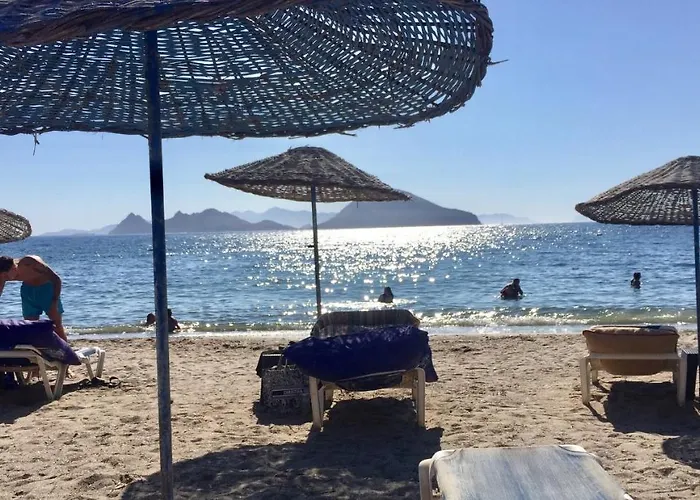 شقة Bodrum-turgutreis Merkezde Plaja 50 Metre Uzaklikta 1 Ve 2 Numarali Daireler